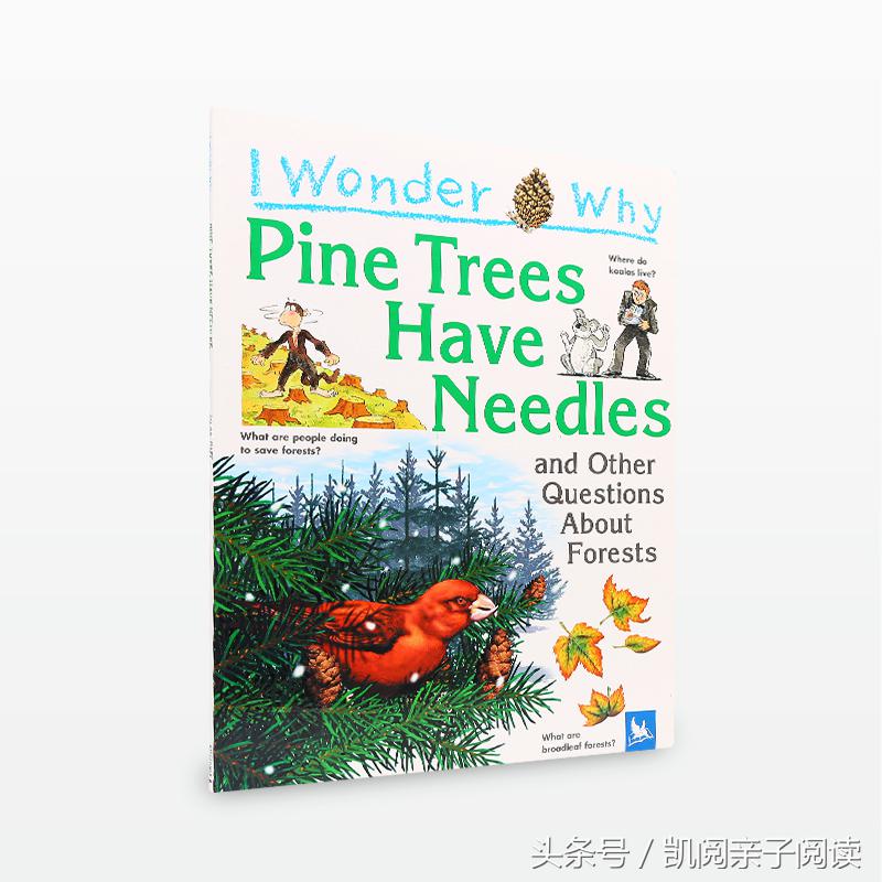 植树节应该教会孩子如何爱护树木,让孩子们过一个有意义的植树节