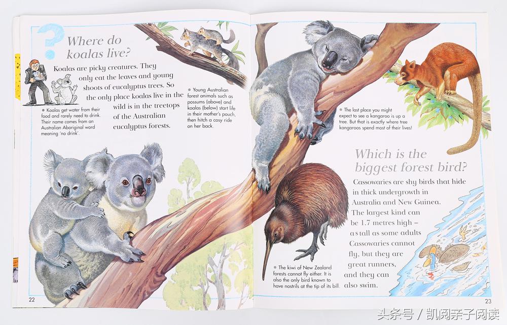 植树节应该教会孩子如何爱护树木,让孩子们过一个有意义的植树节