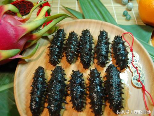 鲜海参和干海参哪个更有营养价值,海参怎样吃会更有营养价值