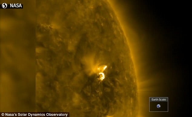 地球上的神秘巨型怪物,比地球大的巨型怪物大小对比