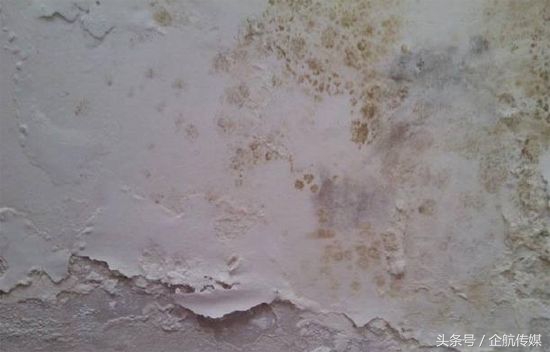 乳胶漆冷暖不一致怎么办,乳胶漆闻多了头疼怎么办