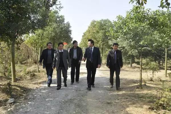 回顾我的大学|安工贸风采系列之“创业之星”