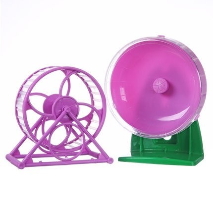 学生养仓鼠必备用品,养仓鼠必不可少的用品都有哪些