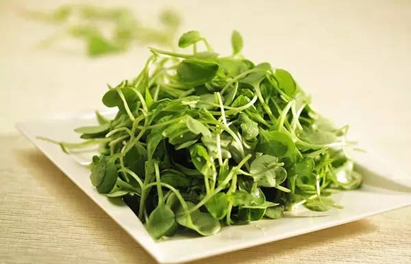 野菜不能乱吃的4个禁忌,糖尿病人禁忌什么野菜