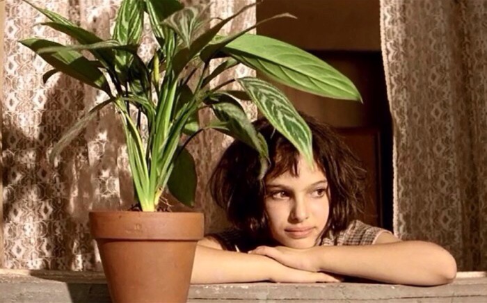 绿萝有几种哪一种吸甲醛更好,绿萝怎么吸甲醛最有效