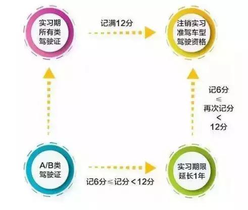 今年才扣了六分就被交警扣证考试？“记分周期”“年审”有区别