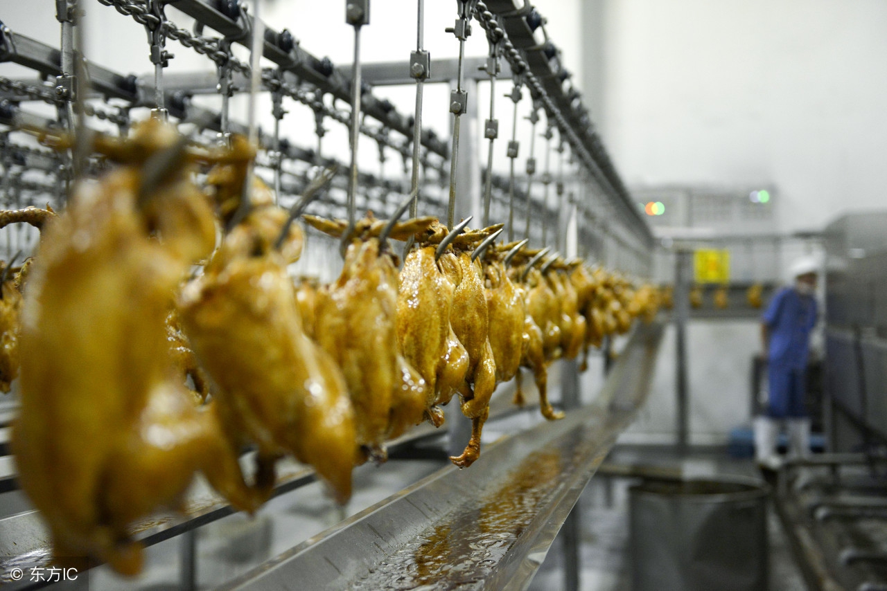 山东车牌是鲁d吗,山东车牌号是不是鲁a