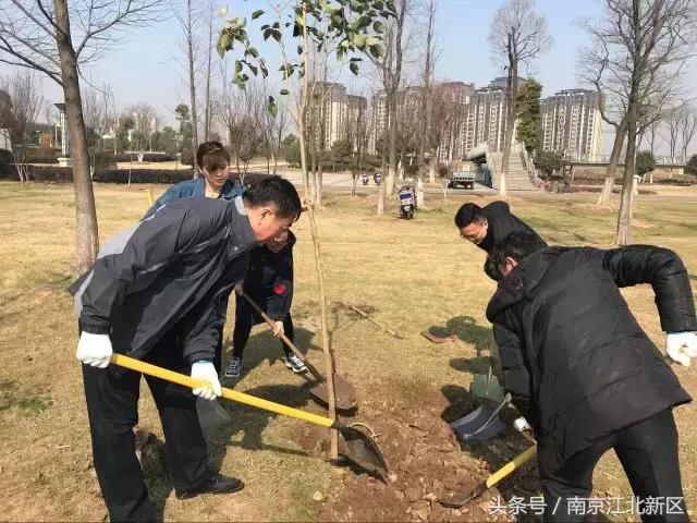 种下一粒种子守护一片绿色,种下一棵树守护一片绿