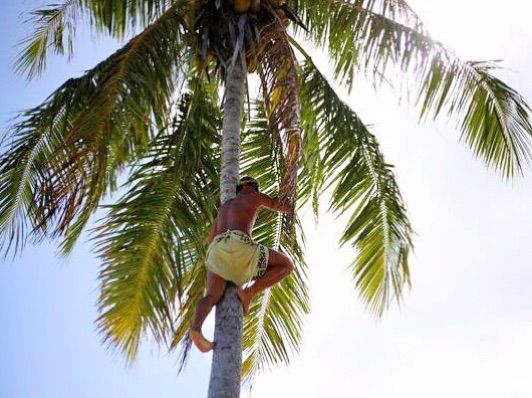 畅游粉红色的梦幻仙境·提克豪岛