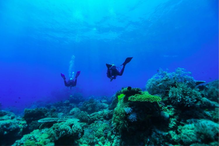 畅游粉红色的梦幻仙境·提克豪岛