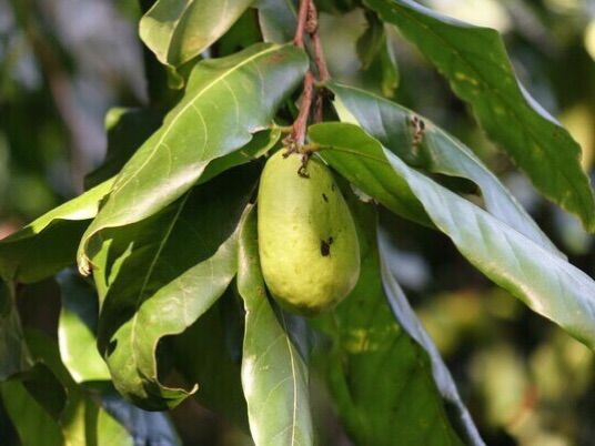 畅游粉红色的梦幻仙境·提克豪岛