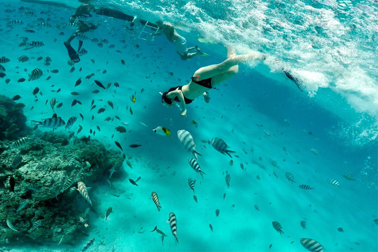 畅游粉红色的梦幻仙境·提克豪岛