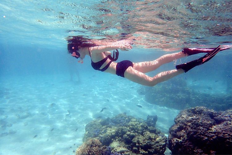 畅游粉红色的梦幻仙境·提克豪岛