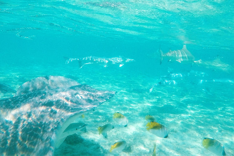 畅游粉红色的梦幻仙境·提克豪岛