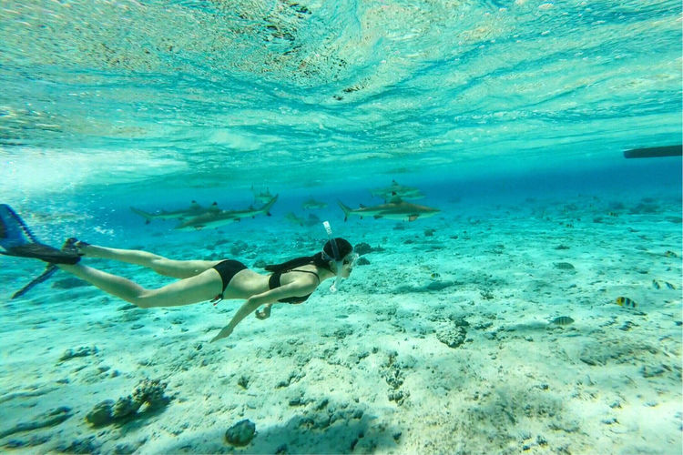 畅游粉红色的梦幻仙境·提克豪岛