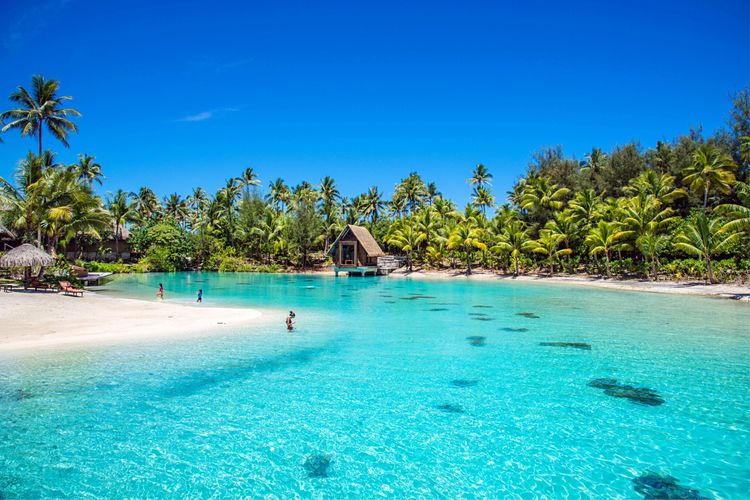 畅游粉红色的梦幻仙境·提克豪岛