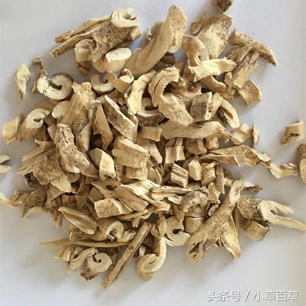 皮肤瘙痒用什么中草药能洗,治疗皮肤瘙痒的中草药有哪些