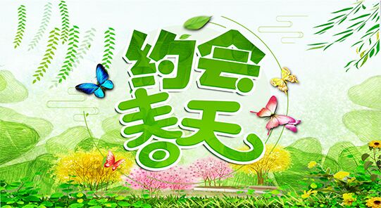 绿心公园粉蝶花开了,绿心公园樱花