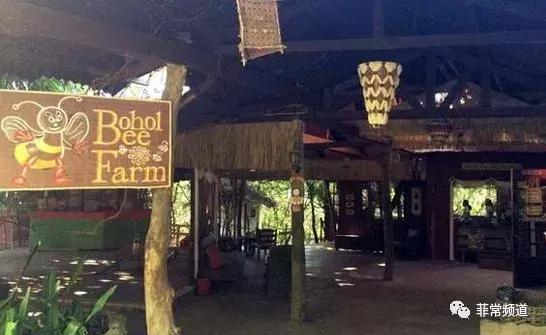 菲律宾薄荷岛详细地图,菲律宾薄荷岛风景