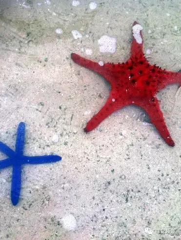 菲律宾薄荷岛详细地图,菲律宾薄荷岛风景