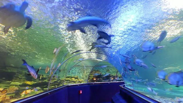 感受越式小清新，去芽庄度个小假