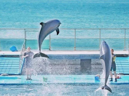 感受越式小清新，去芽庄度个小假