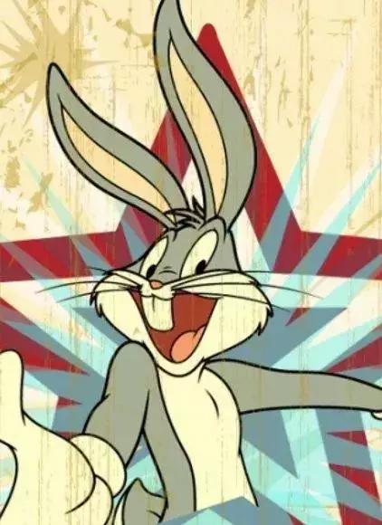 看完比得兔我们能感受到什么变化,看比得兔你学到了什么