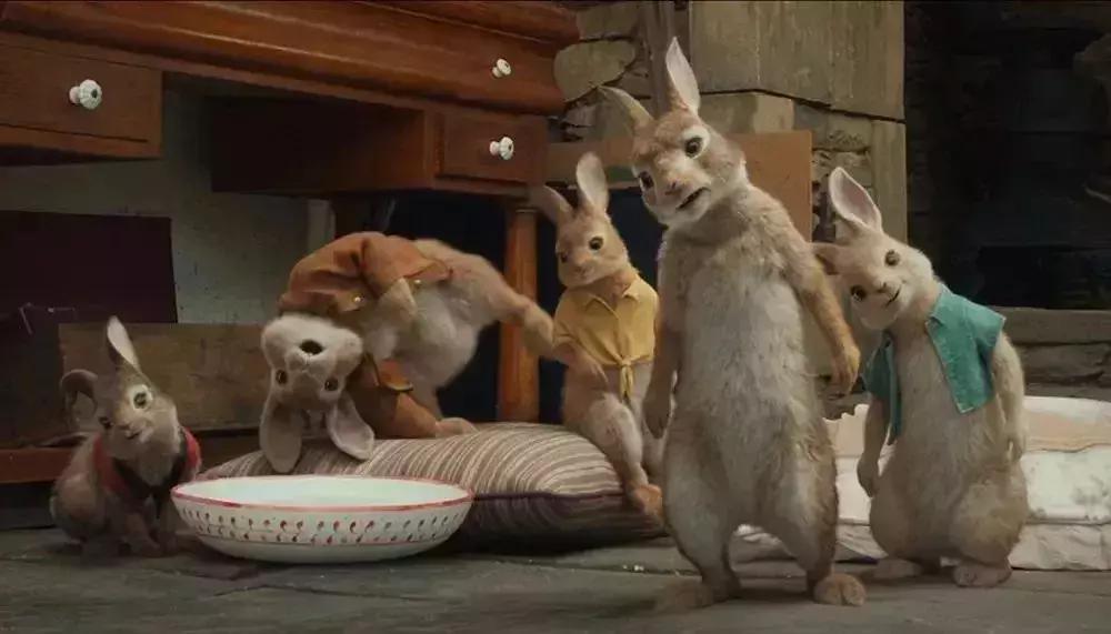 看完比得兔我们能感受到什么变化,看比得兔你学到了什么