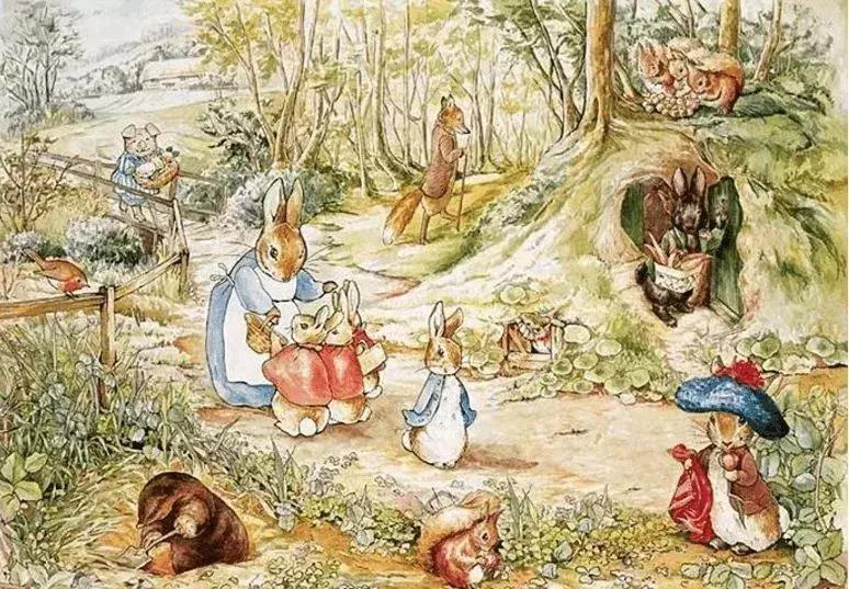 看完比得兔我们能感受到什么变化,看比得兔你学到了什么