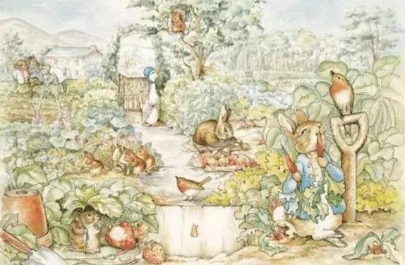 看完比得兔我们能感受到什么变化,看比得兔你学到了什么