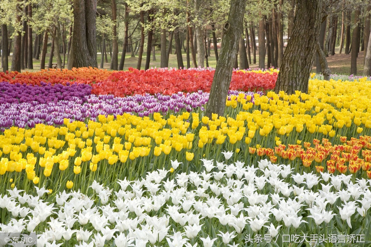 大舌头绕口令多长时间能练好,矫正大舌头的绕口令有哪些