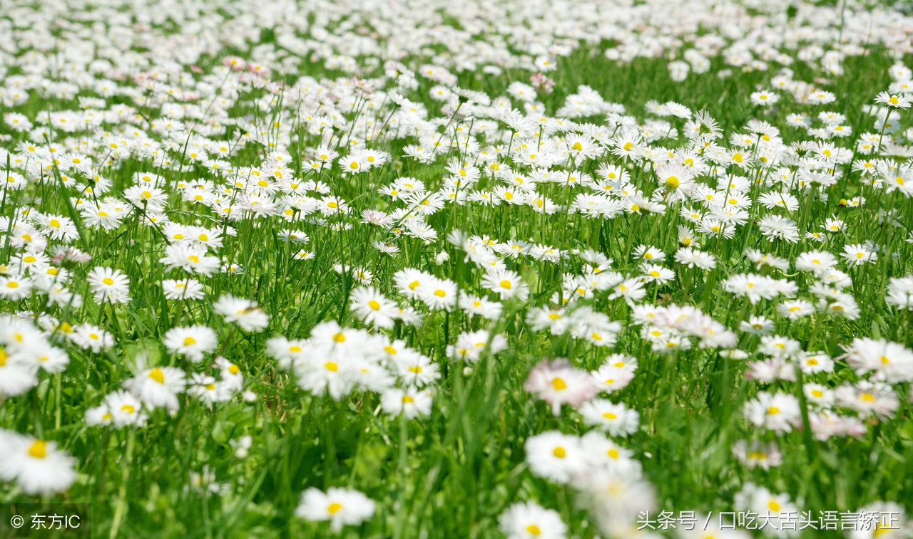 大舌头绕口令多长时间能练好,矫正大舌头的绕口令有哪些