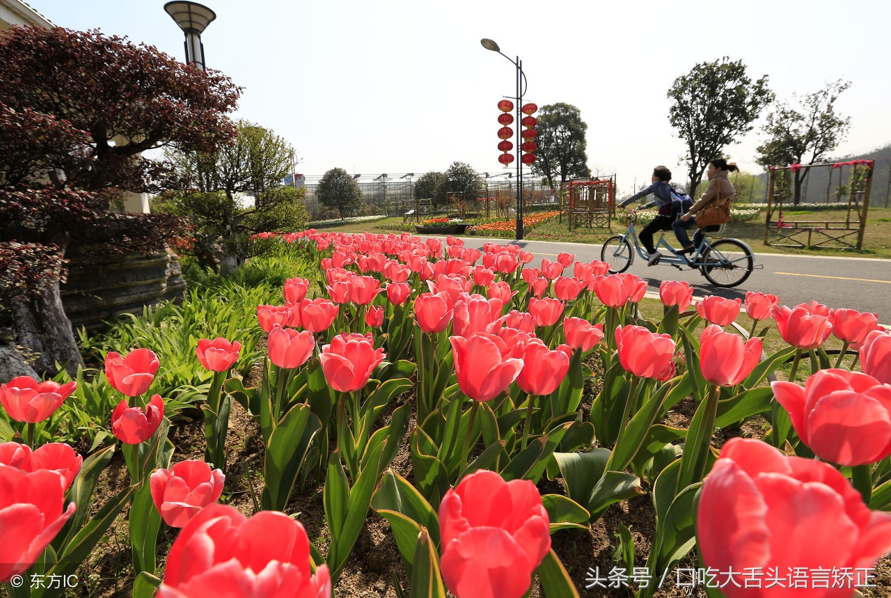 大舌头绕口令多长时间能练好,矫正大舌头的绕口令有哪些