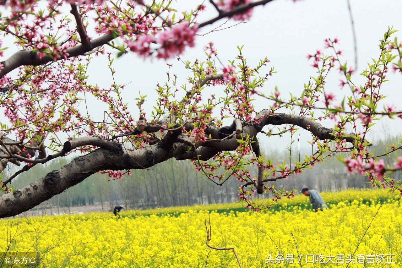 大舌头绕口令多长时间能练好,矫正大舌头的绕口令有哪些