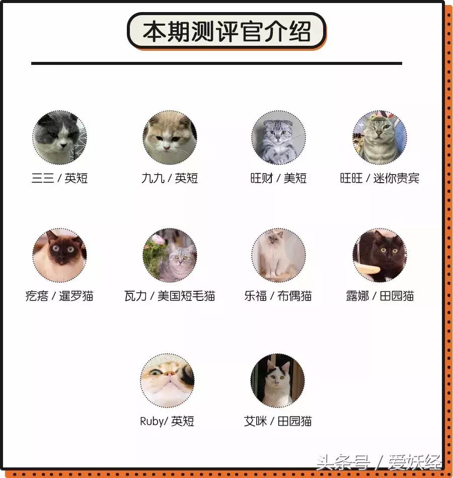 妖社区榜单|怎样才能给主子一个舒适的如厕体验