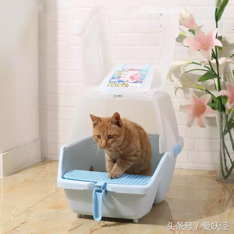 妖社区榜单|怎样才能给主子一个舒适的如厕体验