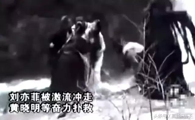 北电回应刘亦菲学历,刘亦菲怎么进的北电