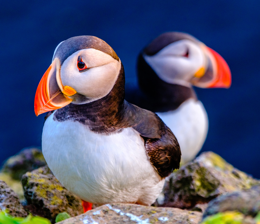 摄影后期如何修产品,摄影后期处理入门