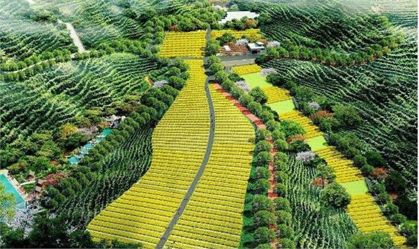 怎样申请休闲农业和乡村旅游补贴,农业旅游补贴怎么申请