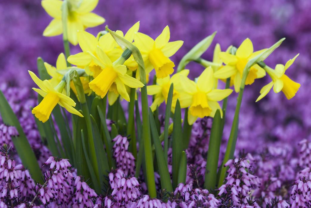 人生哪怕再穷也要活的实实在在,即使是粗茶淡饭也能岁月静好