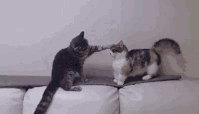 钢琴老师这样“撩”你，你会好好学钢琴吗？