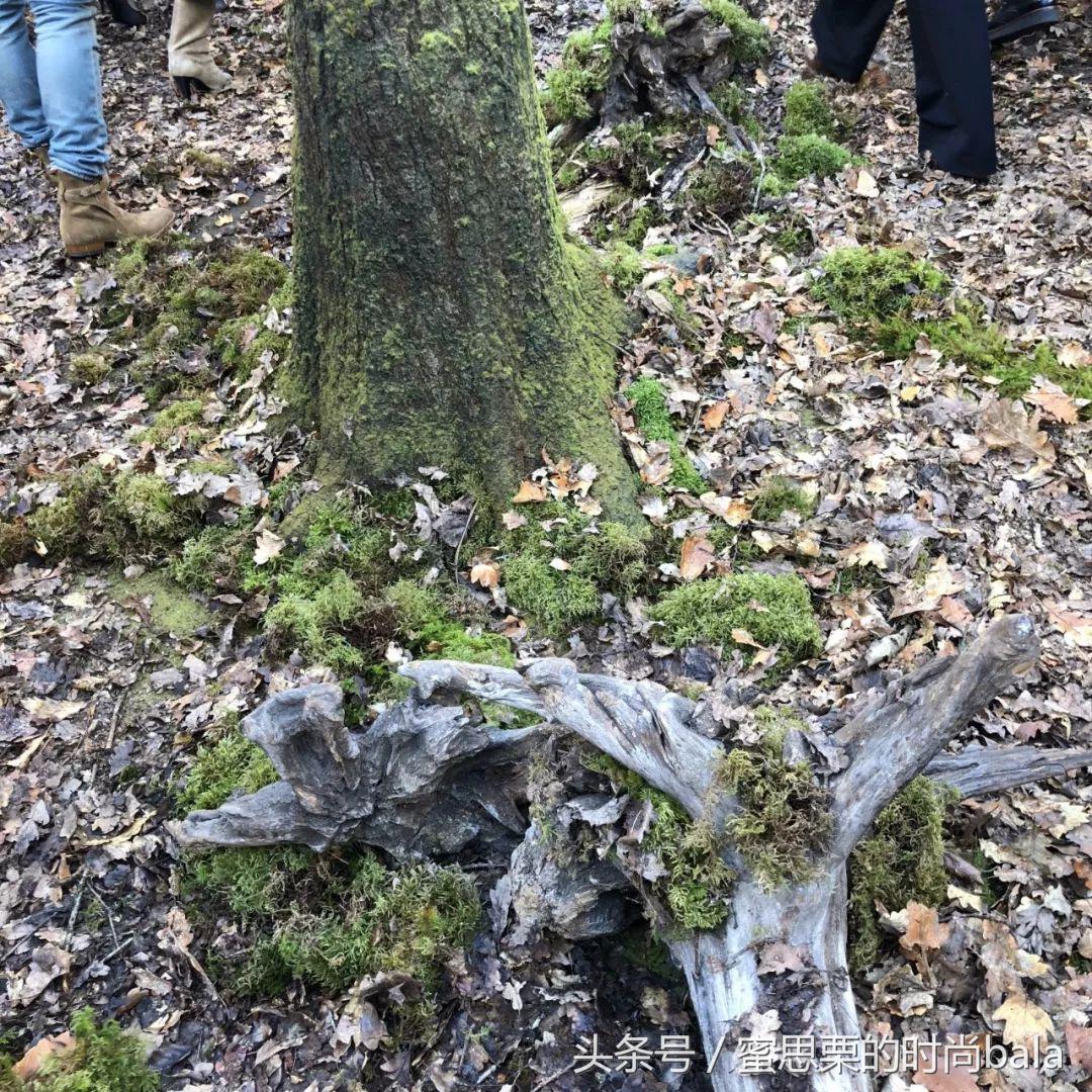 2019秋冬gucci时装周视频,2019秋冬gucci时装周