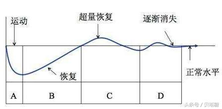 降三高减肥中药方子,倪海厦治疗三高经典药方