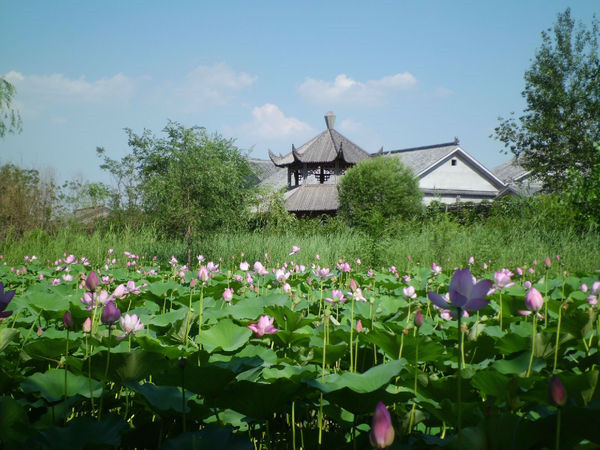 现在不养生将来养医生视频,天津康养旅游哪个地方好