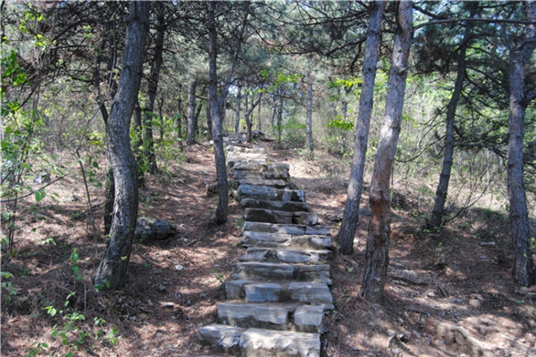 现在不养生将来养医生视频,天津康养旅游哪个地方好