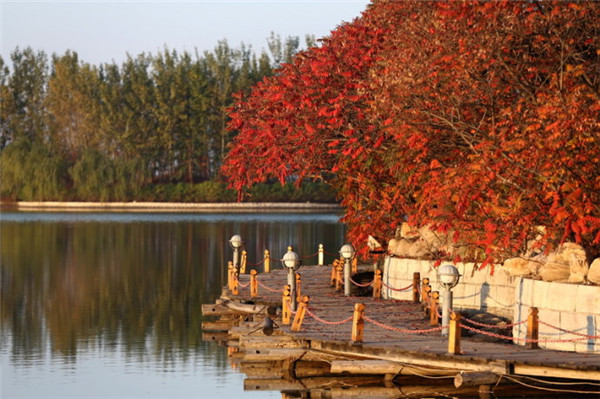 现在不养生将来养医生视频,天津康养旅游哪个地方好