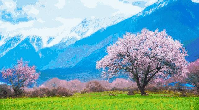 我爱你郑州,郑州我爱你