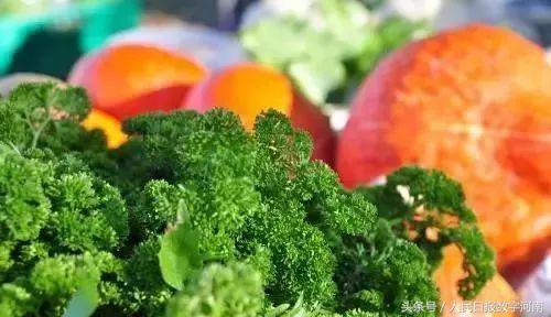 我爱你郑州,郑州我爱你