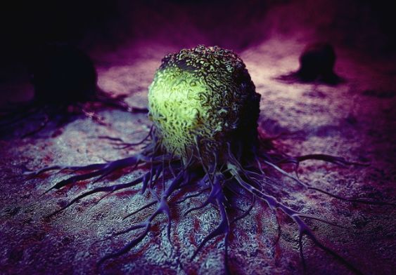 白血病恶性细胞达到90%还能治吗,白血病怎么抑制癌细胞生长