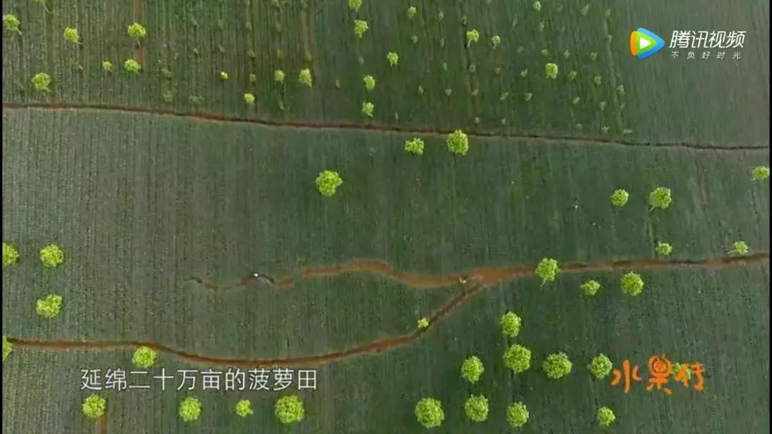 一部看完就想去买水果的纪录片，一次过见识50个城市的奇珍异果！